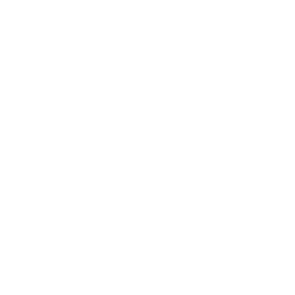 Project Overview